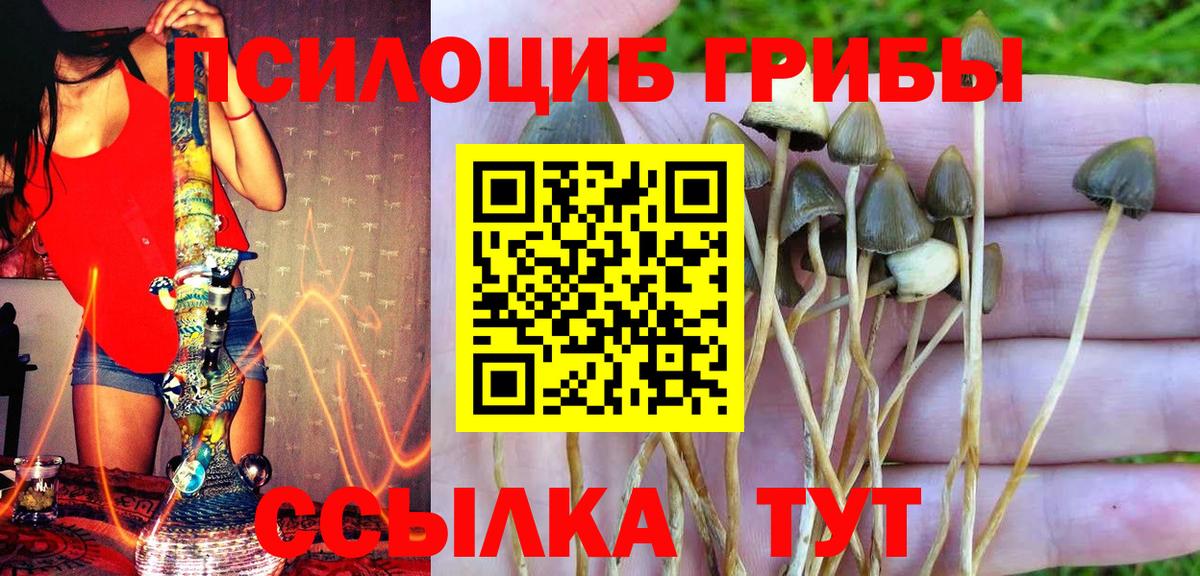 Псилоцибиновые грибы GOLDEN TEACHER  Галлюциногенные грибы GOLDEN TEACHER  Приморско-Ахтарск  Вход с VPN 