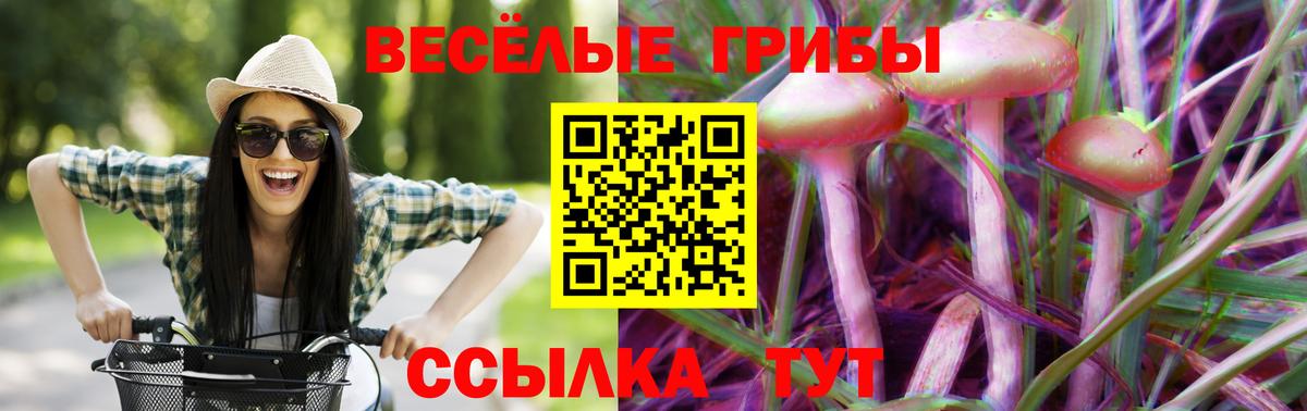 Галлюциногенные грибы MAGIC MUSHROOMS Приморско-Ахтарск